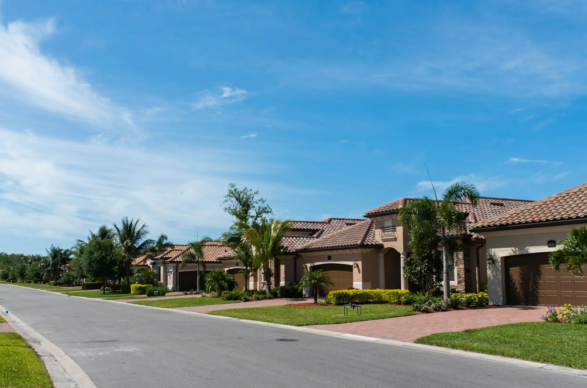 A quiet suburban street of single-storey houses lined with palms